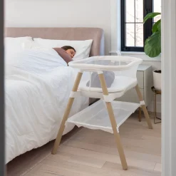 BassiNest® Essential Sleeper