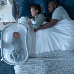 BassiNest Swivel Sleeper 3.0