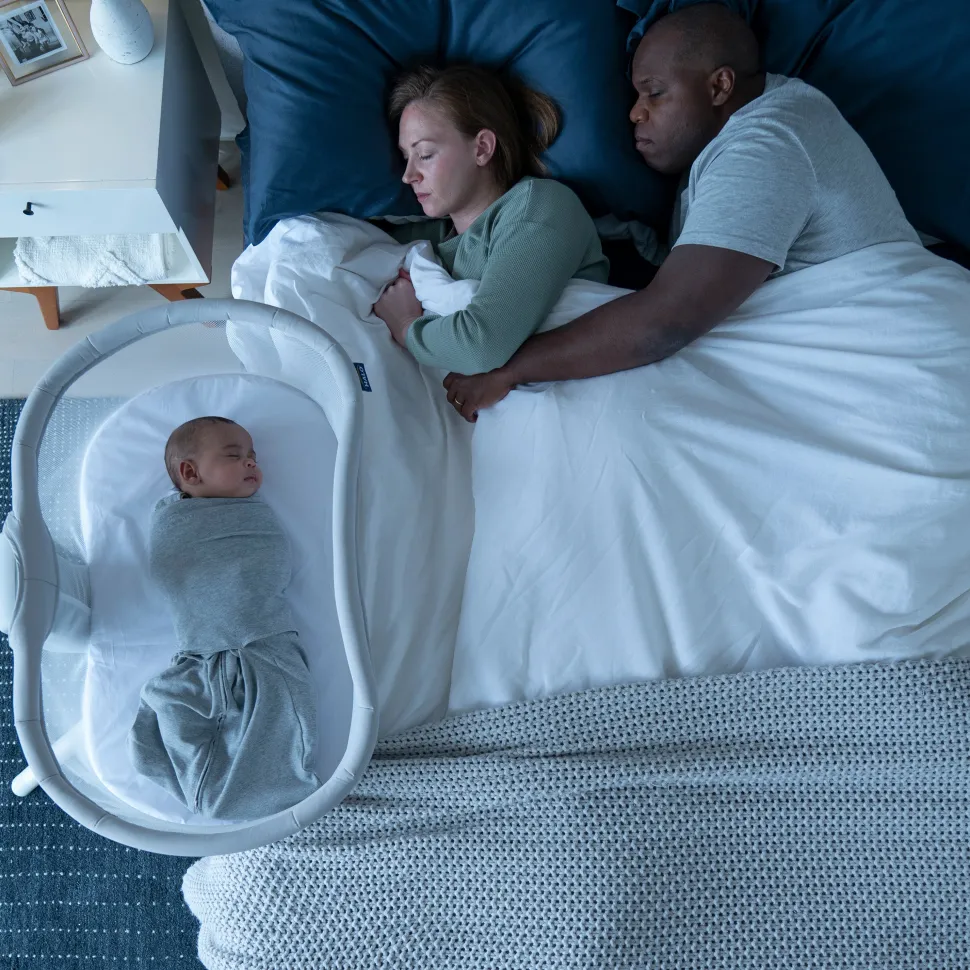BassiNest Swivel Sleeper 3.0