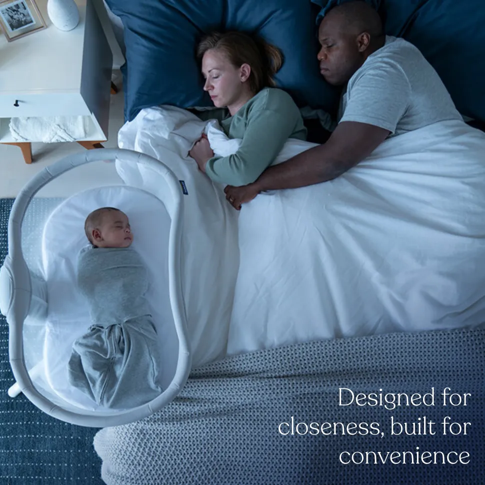 BassiNest Swivel Sleeper 3.0