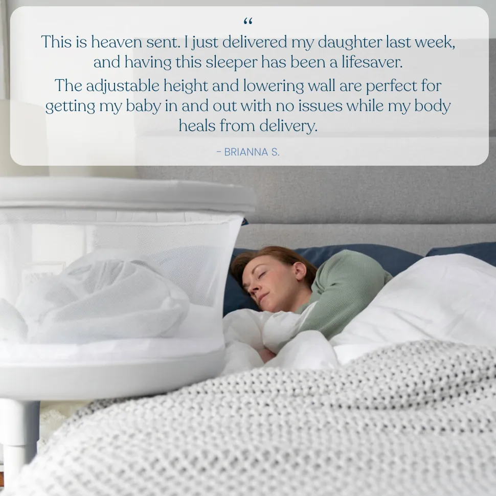 BassiNest Swivel Sleeper 3.0