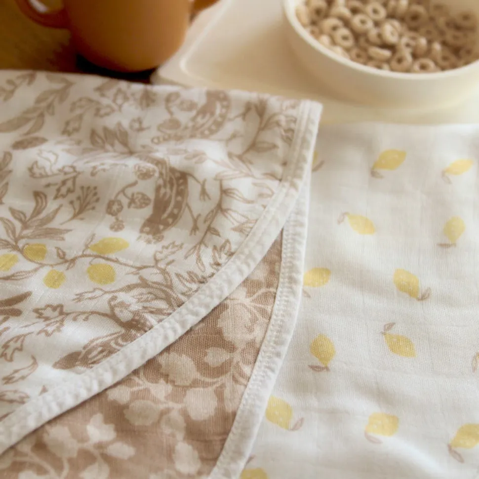 boutique silky soft burpy bib 2 pack