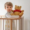 Disney Winnie the Pooh Bundle