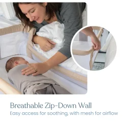 2-in-1 Bedside BassiNest Sleeper