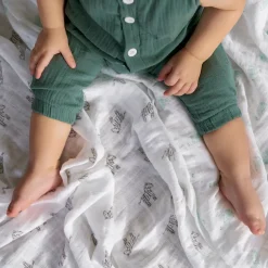 organic cotton muslin burpy bibs 2 pack