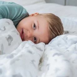 organic cotton muslin dream blanket