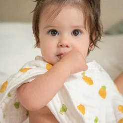 organic cotton muslin burpy bibs 2 pack