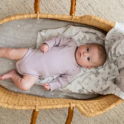 organic cotton muslin swaddle blanket 2 pack